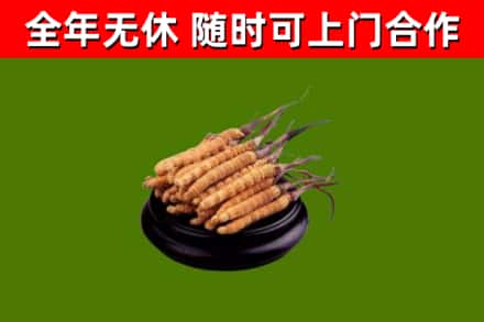 堆龙德庆烟酒回收冬虫夏草.jpg